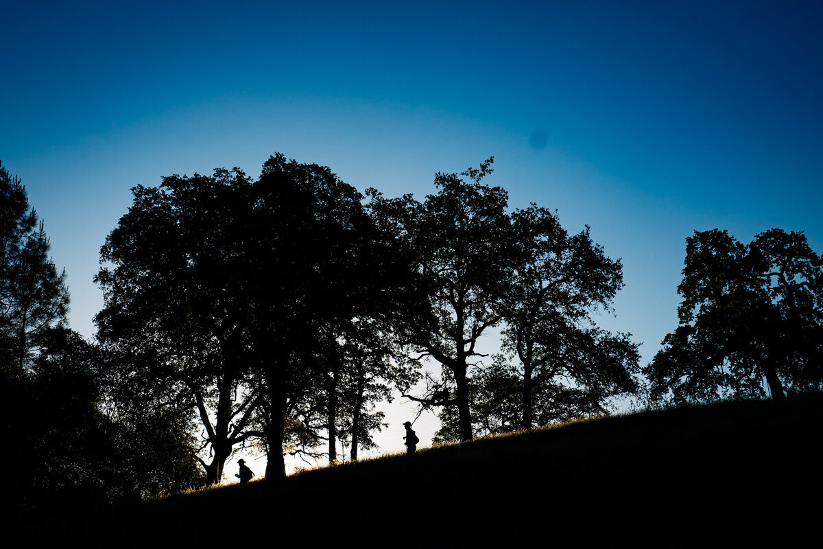 kansas-city-sports-photography-0111-silhouette-of-trees-at-sunset