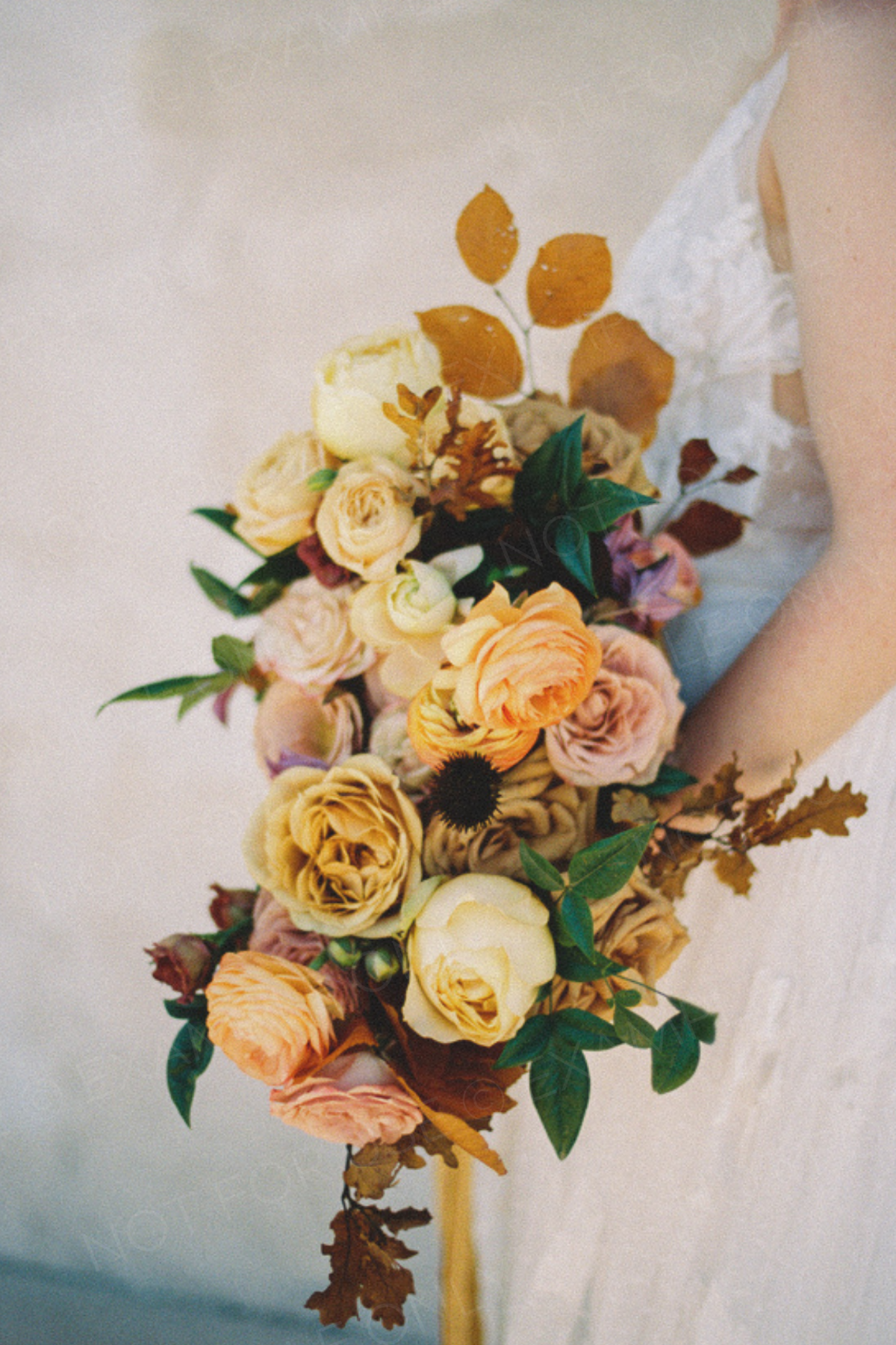 DO-NOT-USE-The-Photo-Editor-s-Guide-Katie-Rivera-EXAMPLE-PHOTO-6