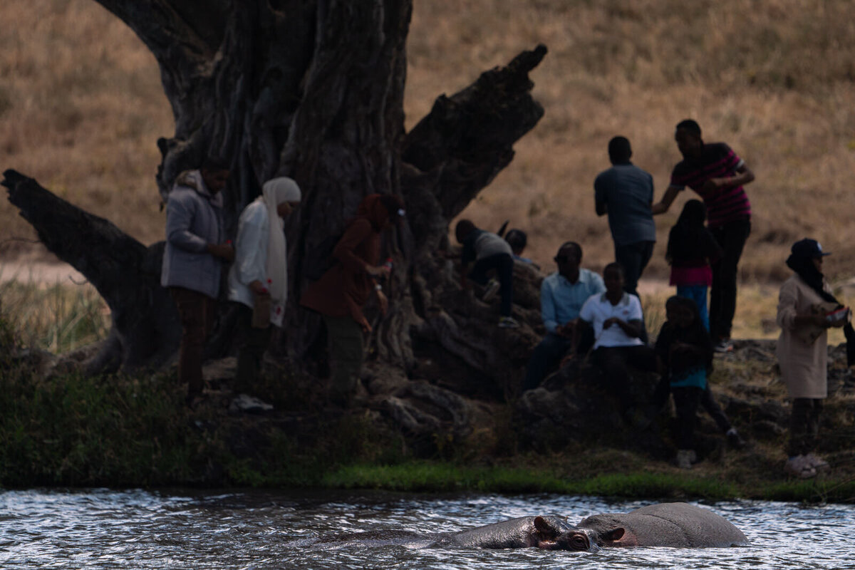 luxury-vacation-photographer-kirsten-lewis-arusha-tanzania019