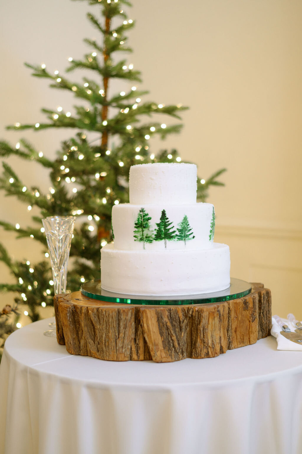 Bailey+Jacob-ReceptionDetails-9