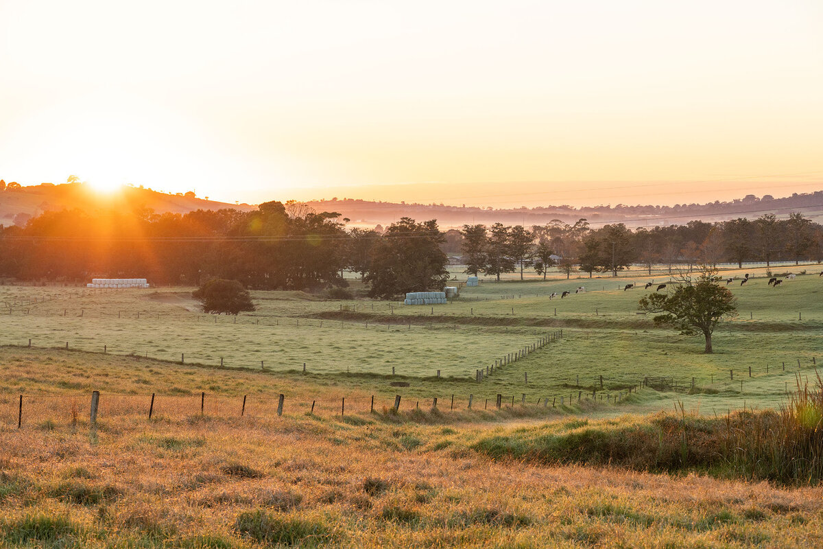 Golden Valley 002
