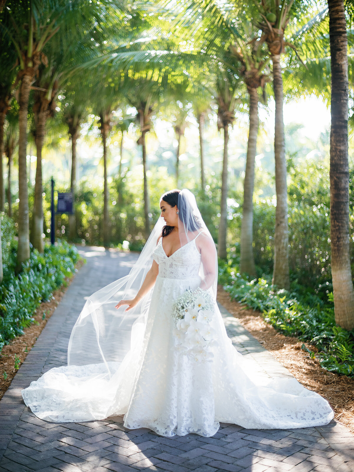 6  ISLA BELLA BEACH RESORT - ISLAMORADA WEDDING PLANNER - FLORIDA KEYS WEDDING PLANNER - WEDDING DECOR - KEY WEST WEDDING - FLORIDA BRIDE - DESTINATION WEDDING - LUXURY WEDDING - WEDDING DESIGN