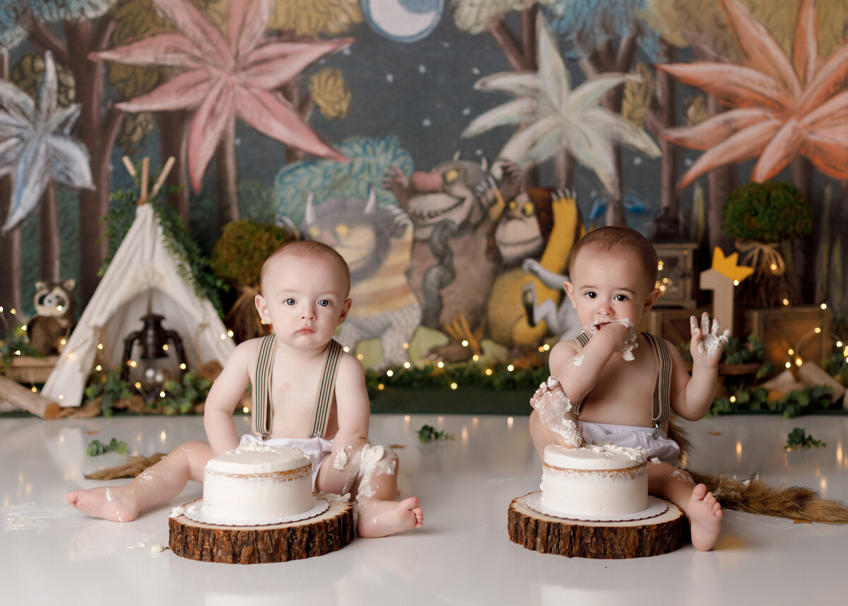 Rustic Twin boy "Where the Wild Things Are" cake smash. Twin boys are sitting behind a white cake looking at the camera.  In the background are evergreen trees, canvas tent, and woodland animals.