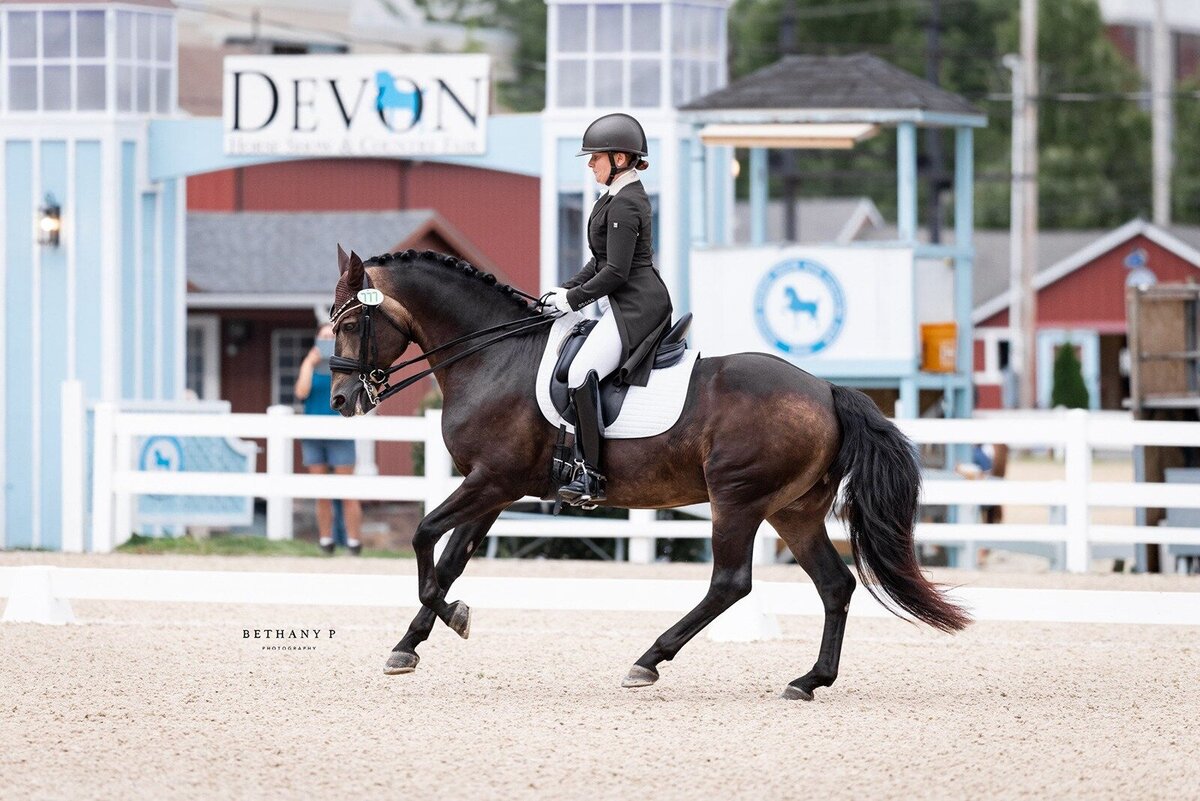jessie-paine-jp-dressage-6