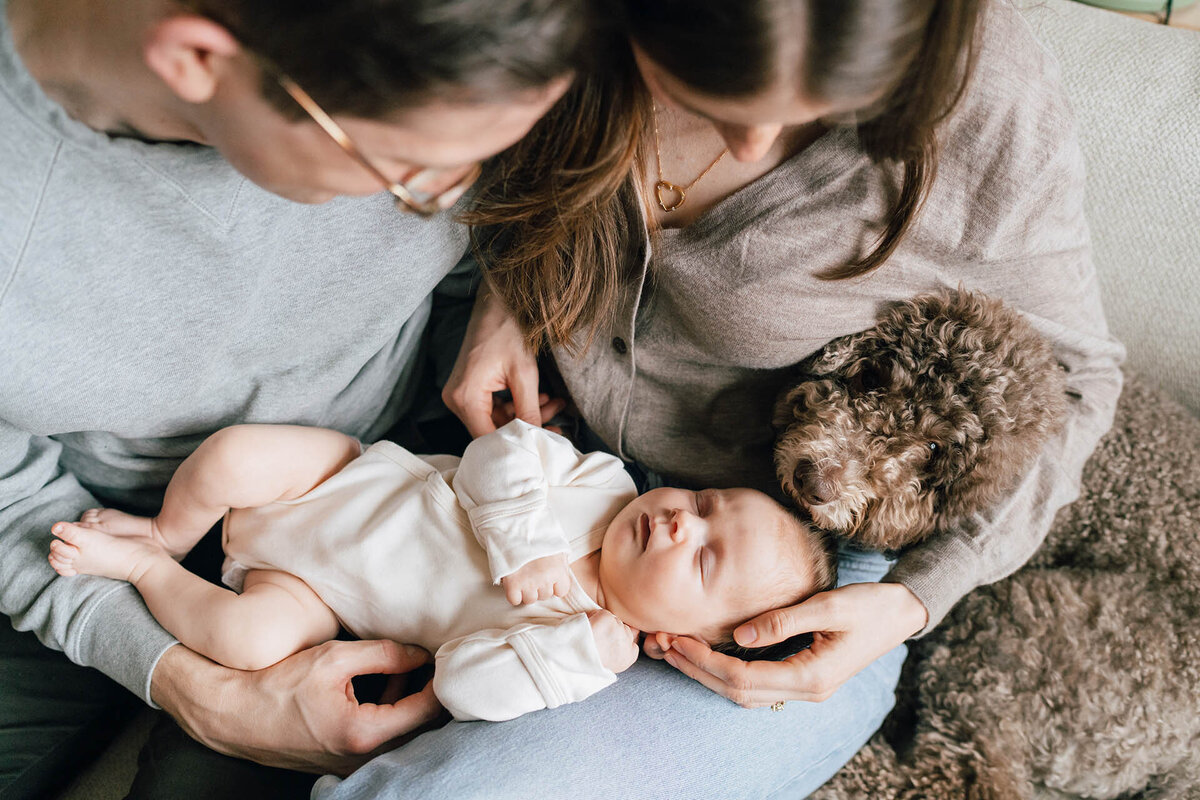 In Home Newborn With Dog