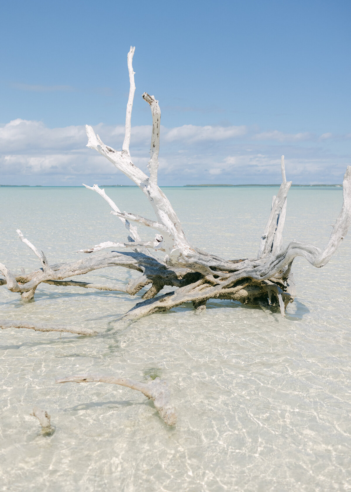 alessandra-shane-harbour-island-wedding-hollyclarkphotography-h-364