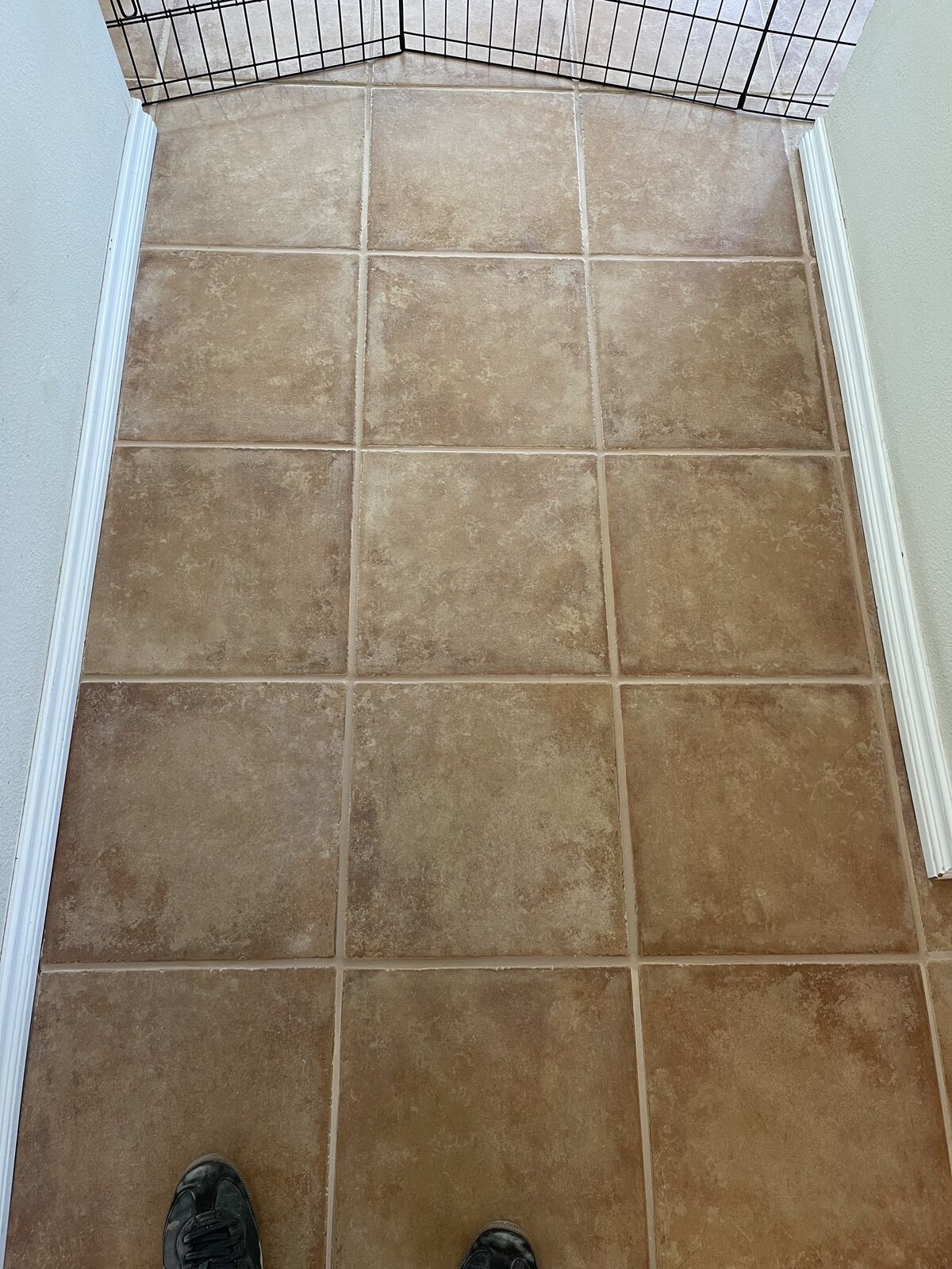tile repair (13)
