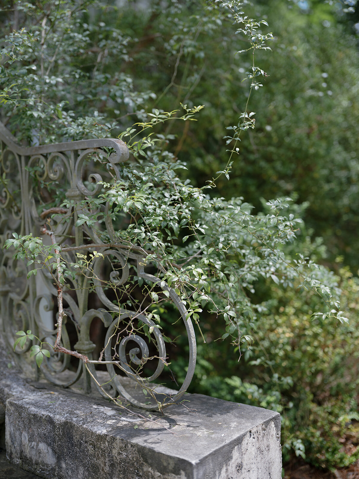 loui_photography_swan_house_atlanta_georgia_wedding-9