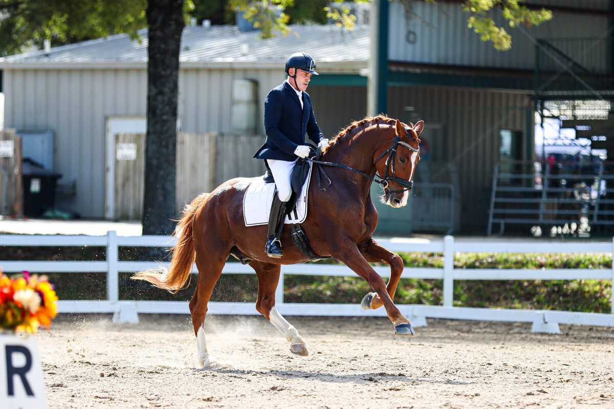A chestnut horse doing an extended canter during a dressage test at the Region 3 Championships in Conyers, GA.