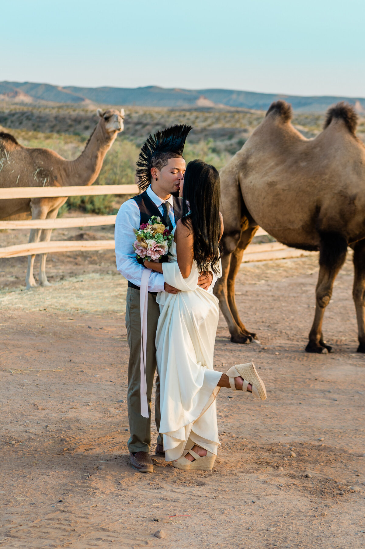 Cactus and Lace Camel Safari Las Vegas Desert Wedding Location1