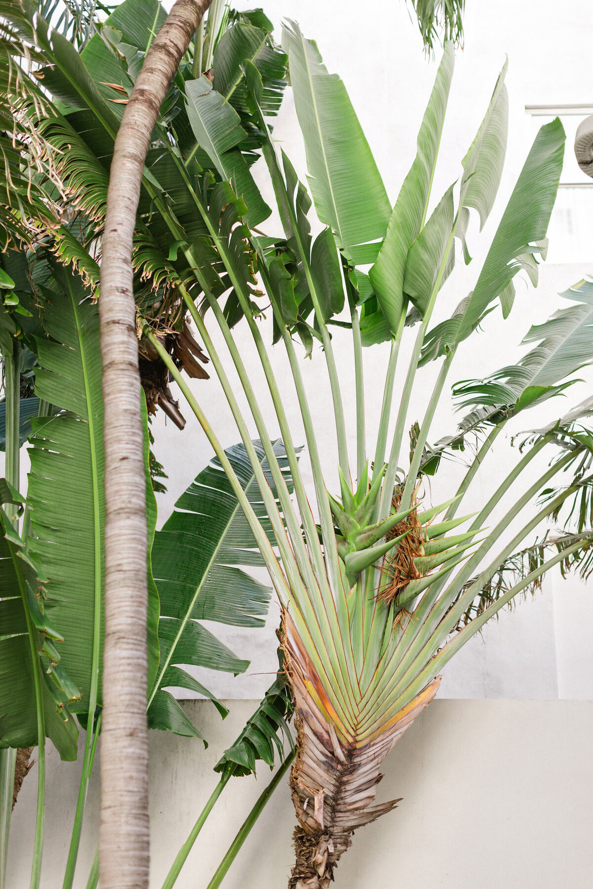 jenn and jeff wedding 0002