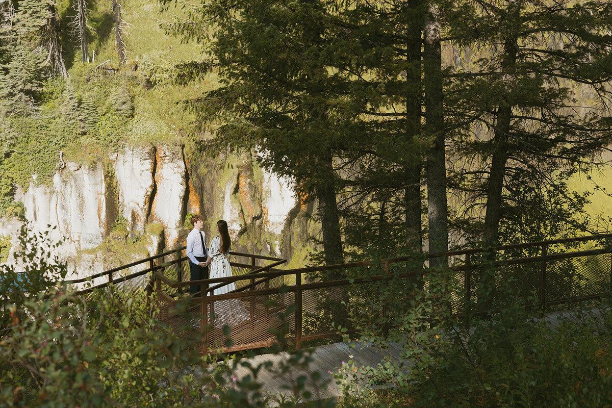tanya-davids-photo-film-mesa-falls-yellowstone-rexburg-island-park-destination-storytelling-documentary-wedding-elopement-phototgrapher-idaho-63