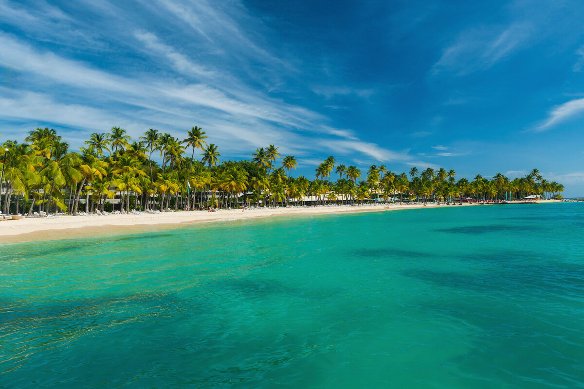 guadeloupe la perle rare4