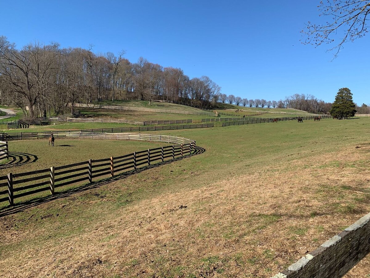 jp-dressage-kynynmont-farm-pa-38