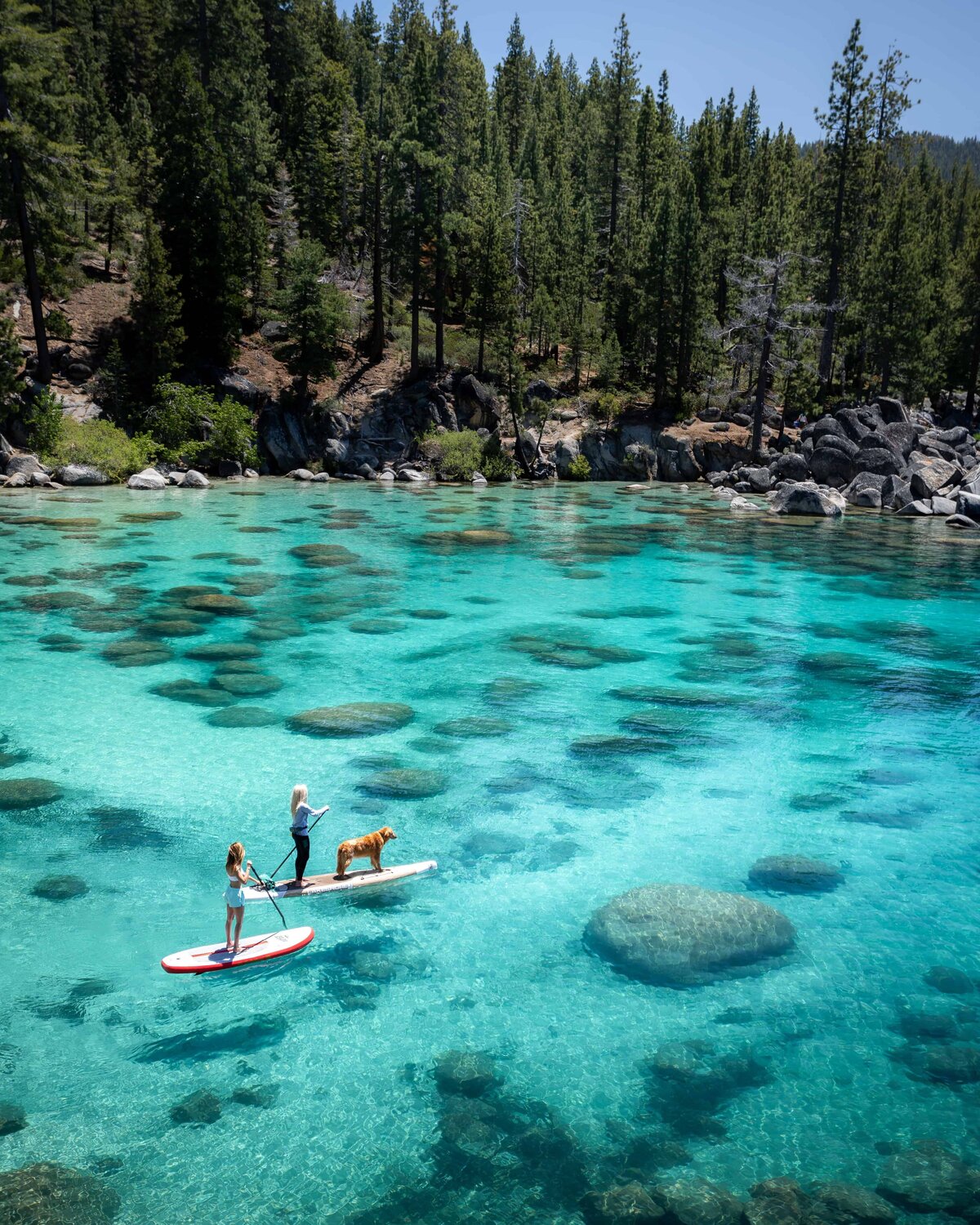 Two people and a dog on paddleboards on Lake Tahoe