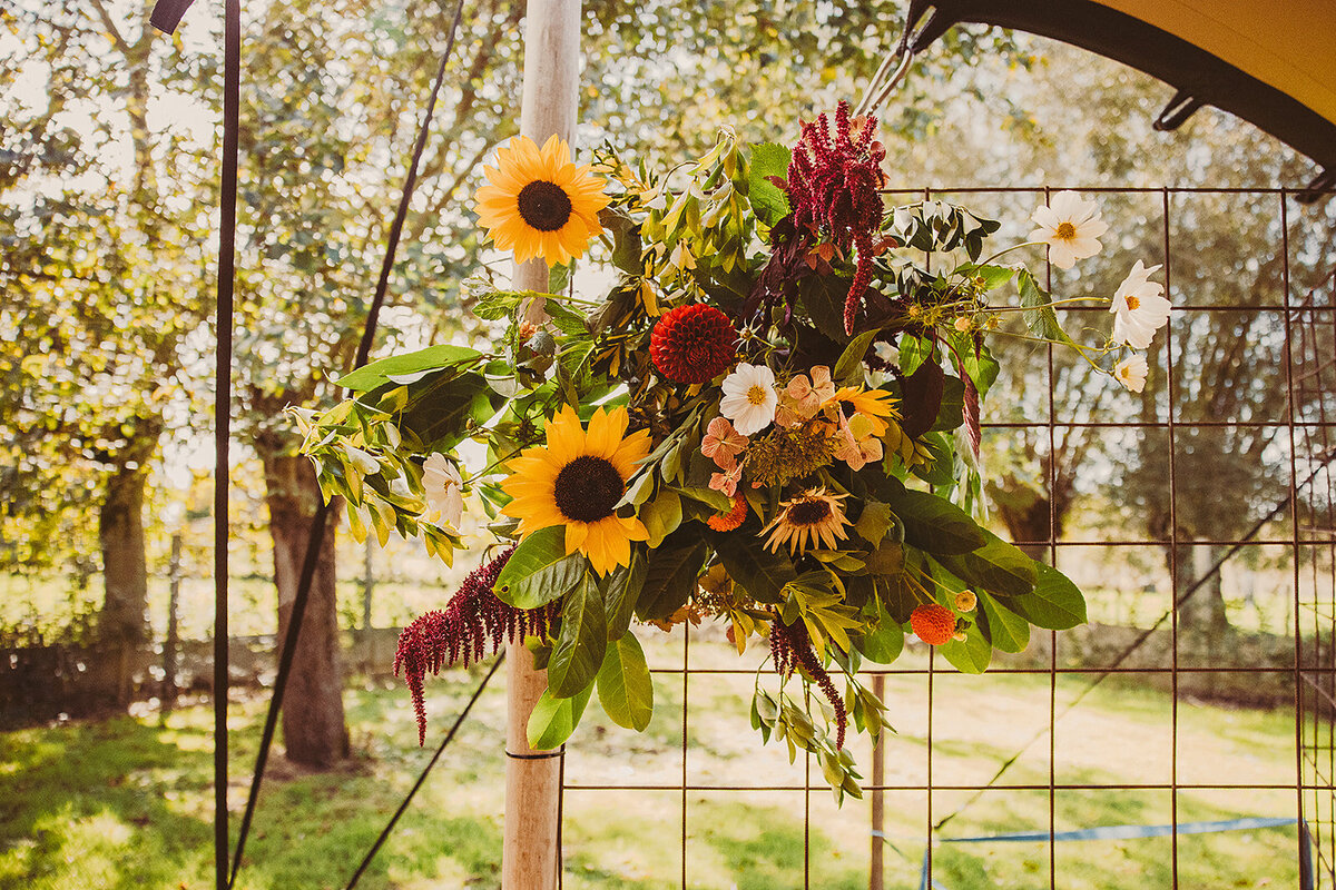 Laure&Nils_huwelijk_bewerkt_ceremonie_-19