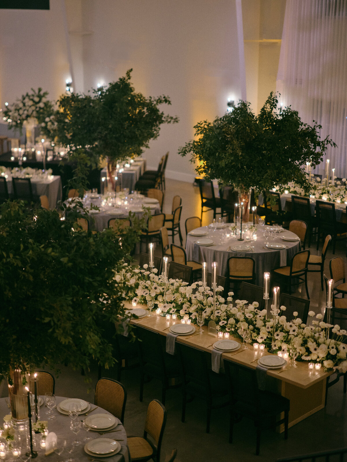 231202CAMEDD_adv0200