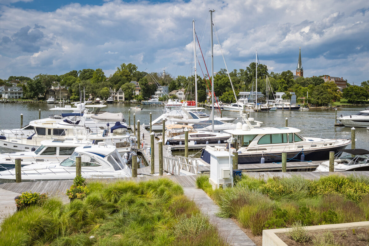 Annapolis luxury real estate 44