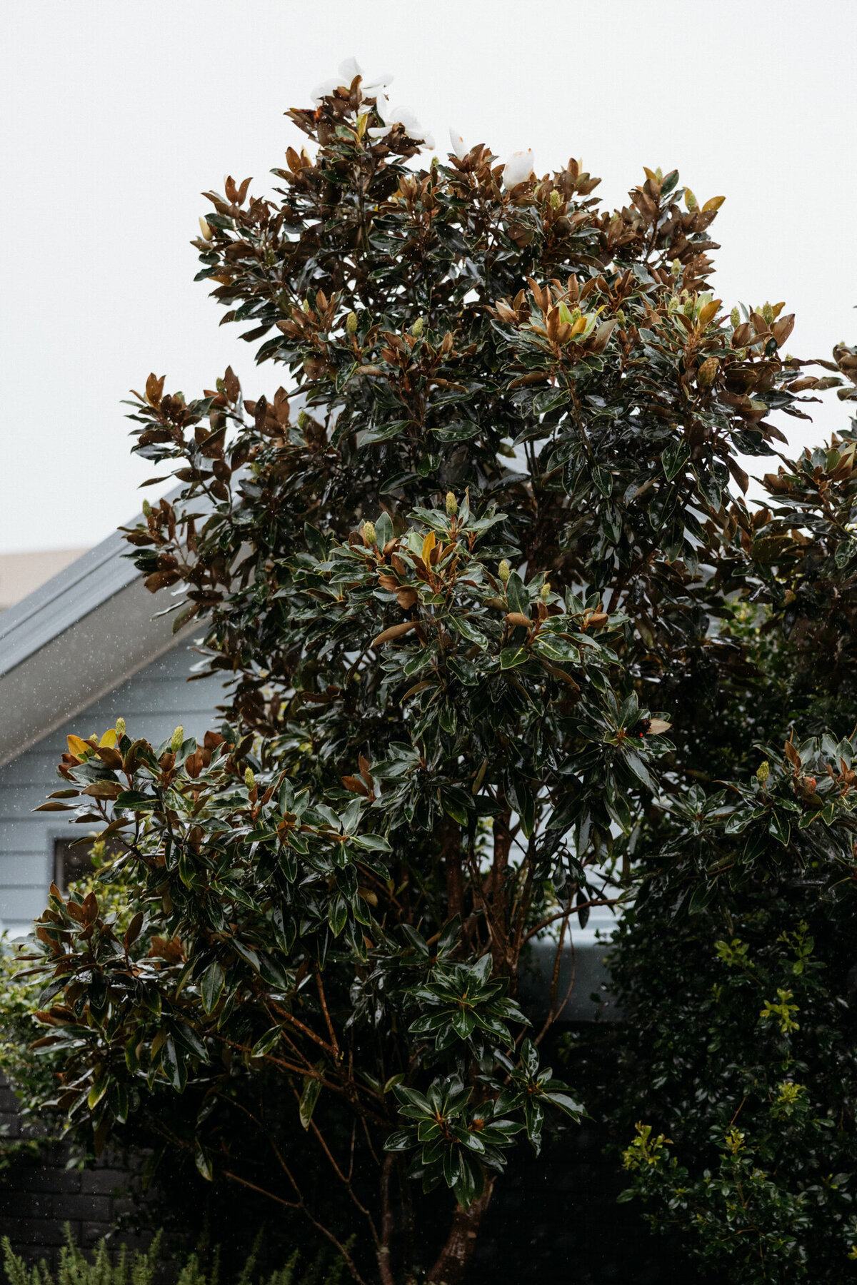 Laura&Julian-JBCreative-4