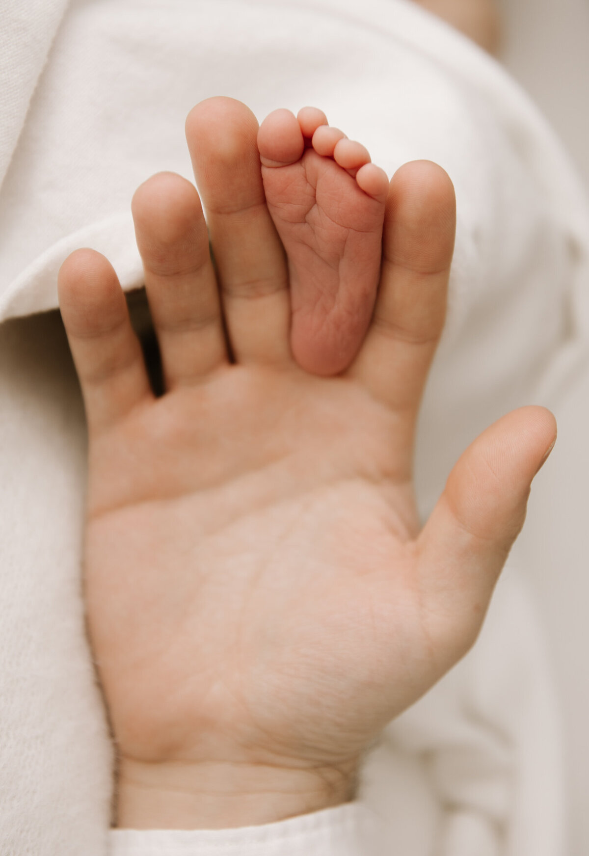 A close-up of a tiny newborn foot resting gently in the palm of a parent's hand. The image captures the contrast in size and texture, highlighting the delicate, wrinkled skin of the baby against the smooth warmth of the parent's touch in a soft, neutral-toned studio setting.