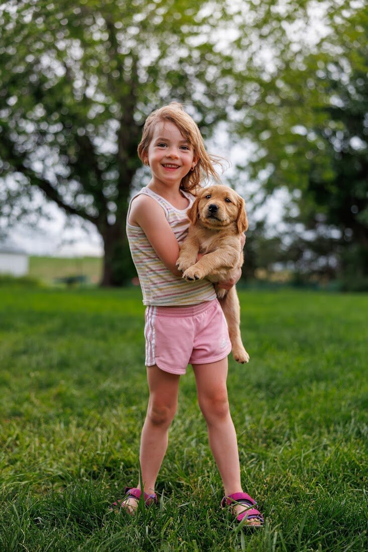 Appelgate-Golden-Retriever-Puppies-2