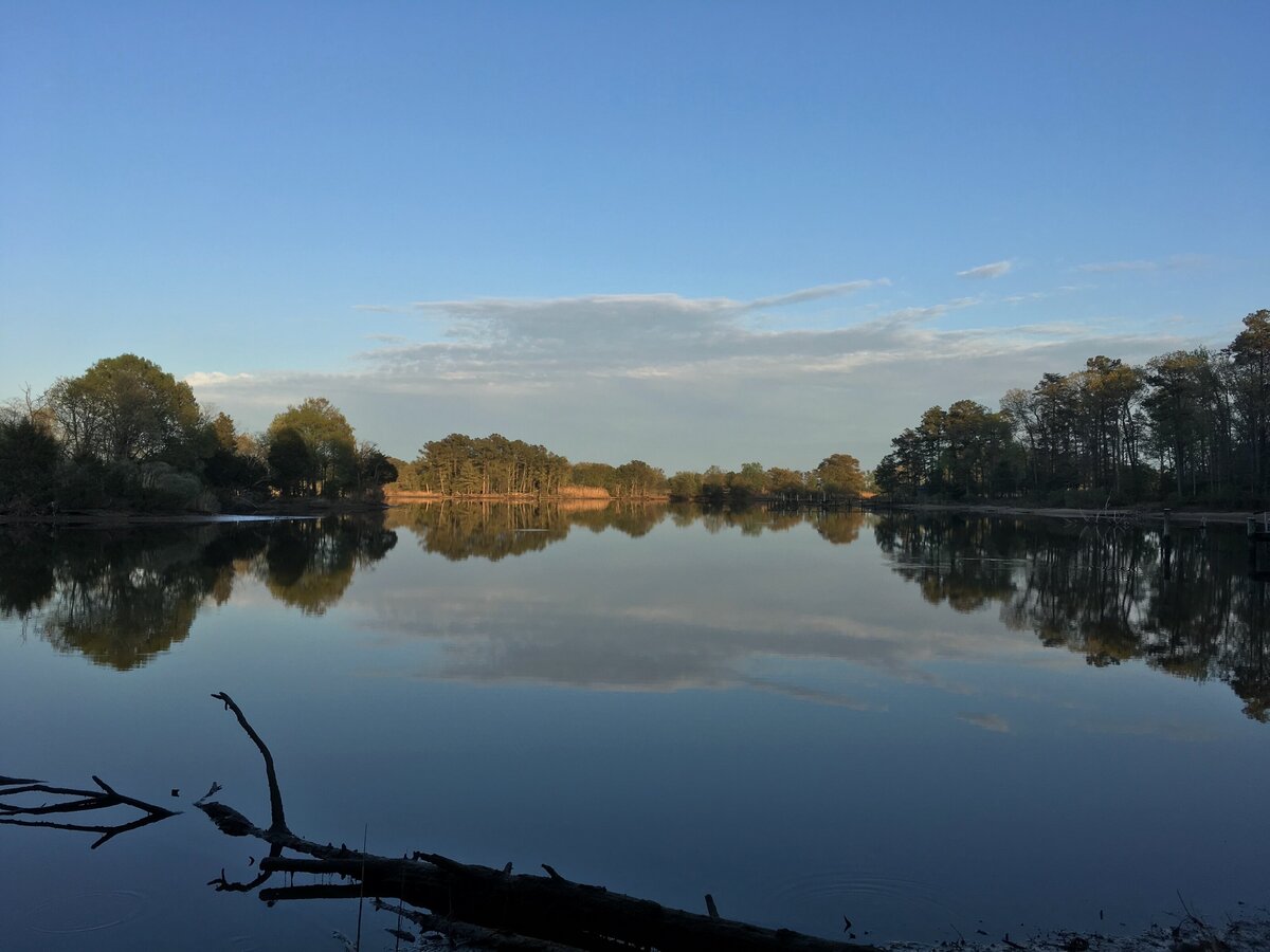 serene lake reflecting clouds and trees
