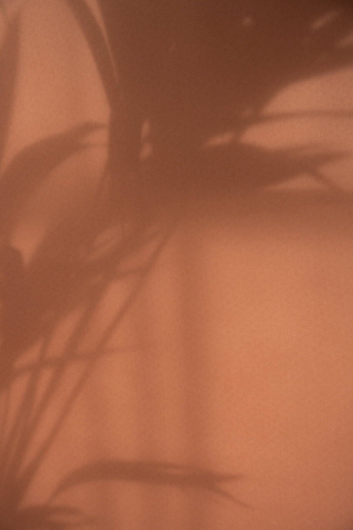 24_RoestigBlond_Branding_PurebyLysan-01