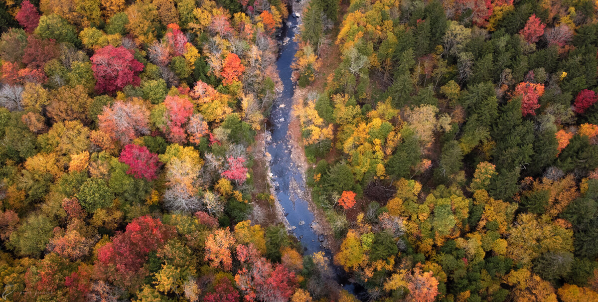 20231007-DJI_0180
