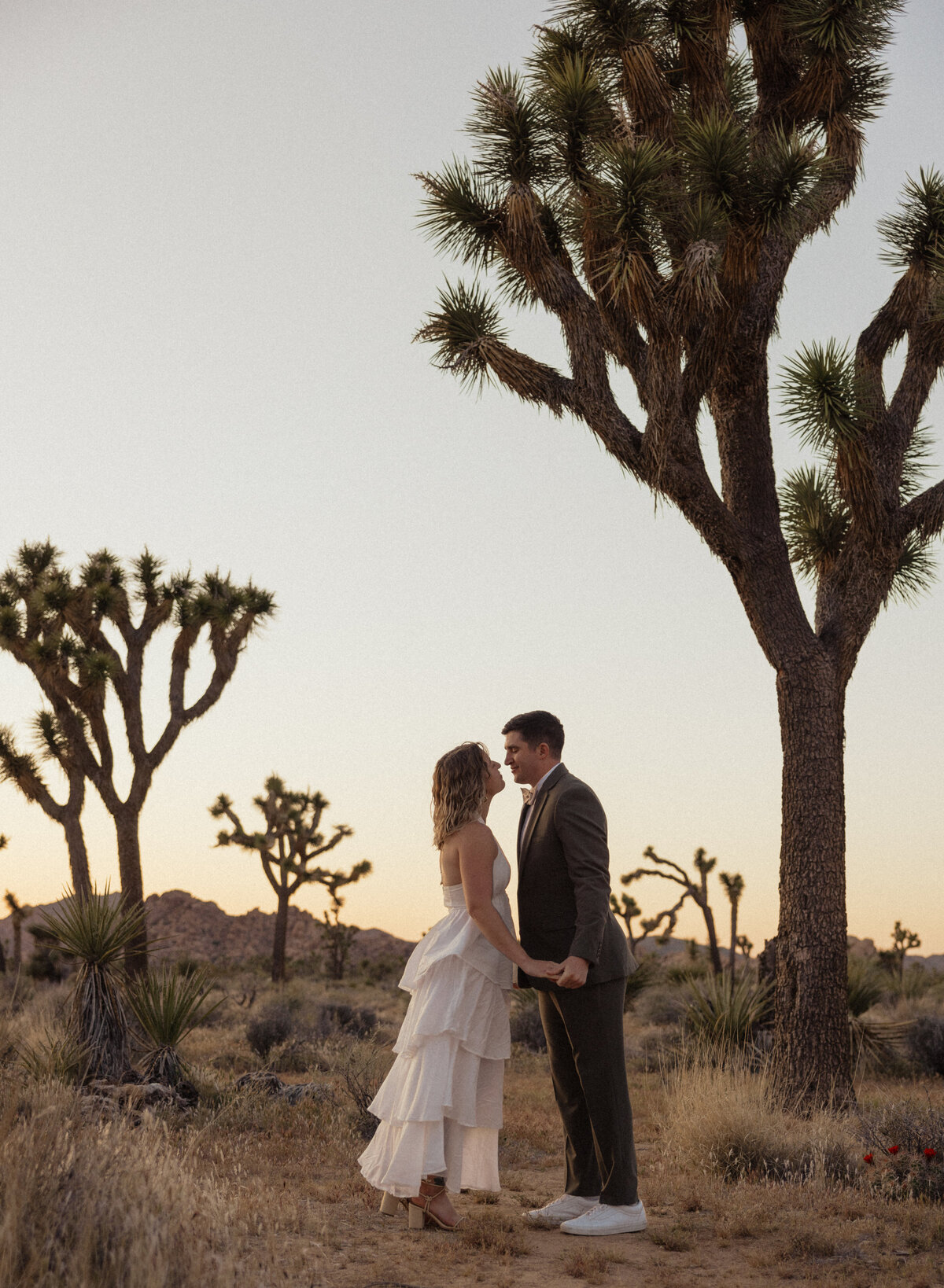 Vanessa-Arnold-Joshua-Tree-2024-by-Emilie-Blanc-267