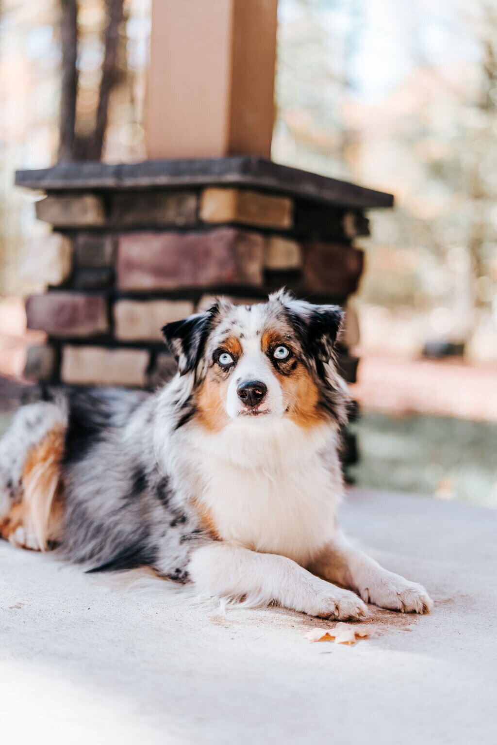 3-web-or-mls-HENRY-4