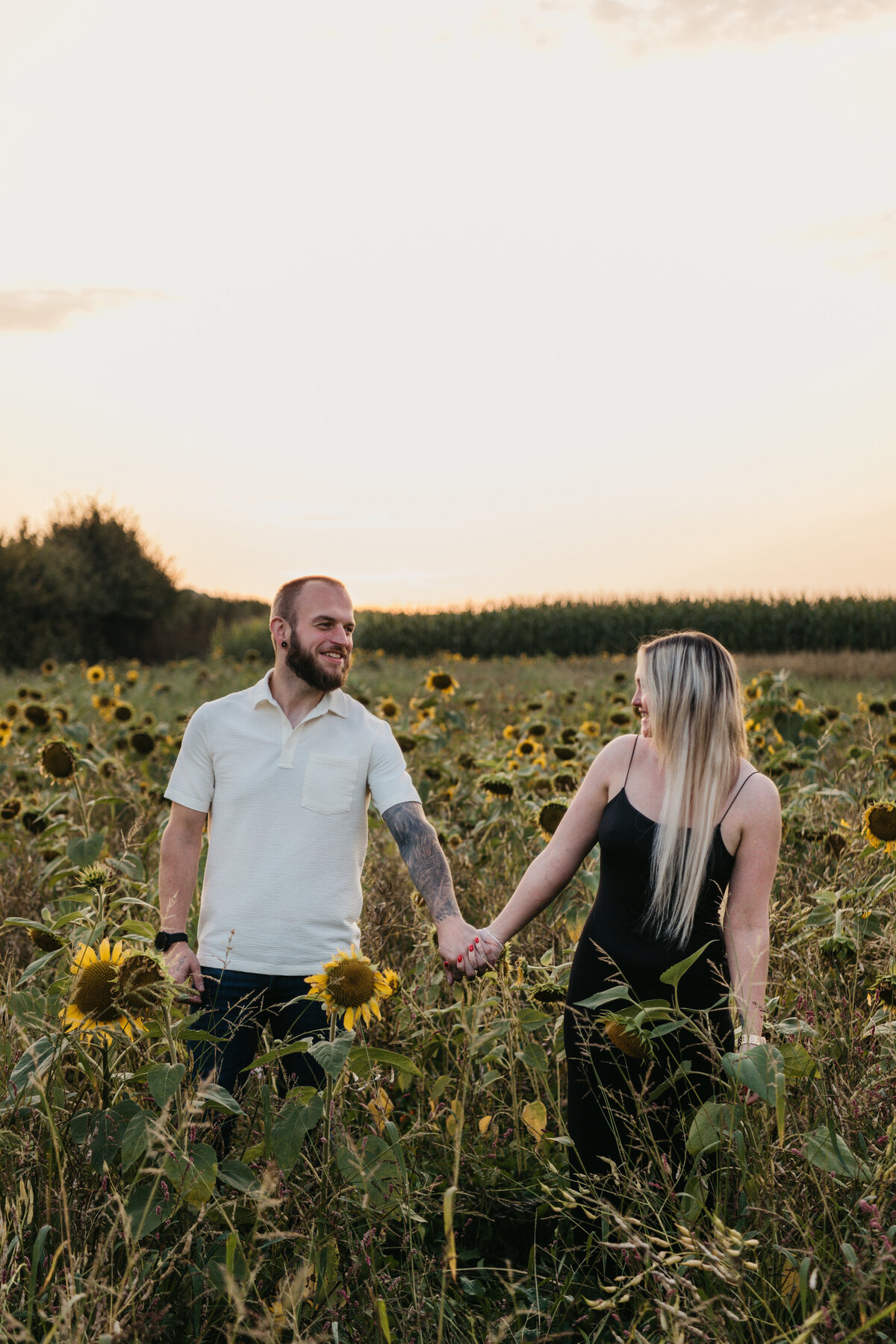 Koppelshoot in zonnenbloemen veld Vlaams-Brabant