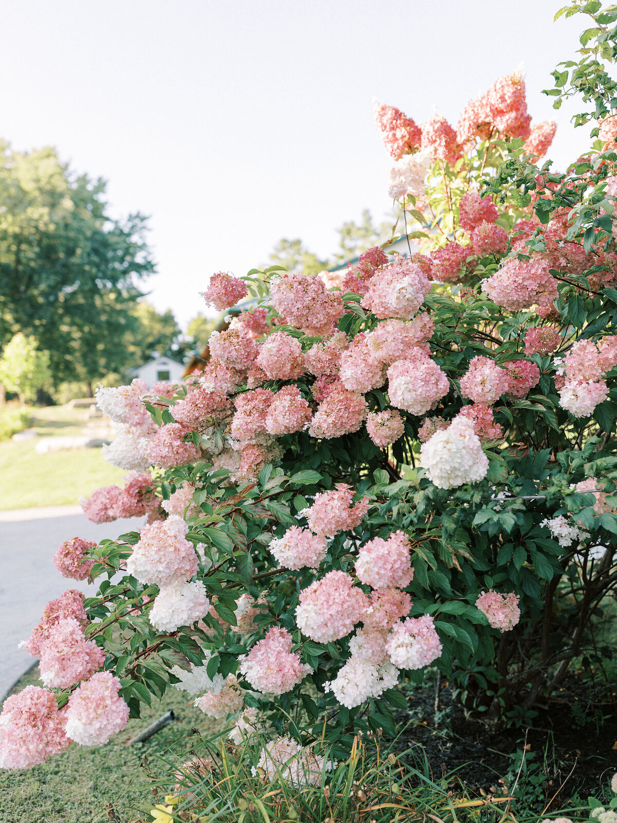 EmilyandZekerehearsaldinnerEsraYPhotography-2