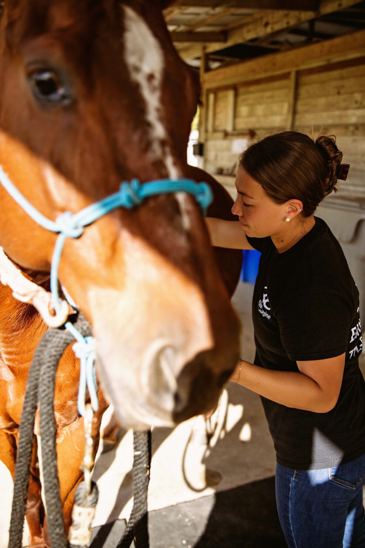 animal care photographer