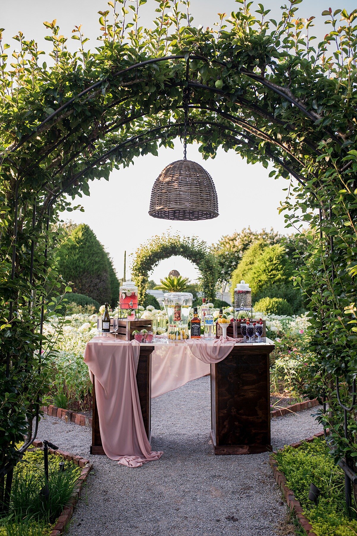 A dark wood bar covered with a draping sheer organza blush table runner has a large wicker bell shaped chandelier hanging from an arched wisteria arbor in the lush garden at Carnton Plantation. The bar is topped with three glass dispensers with signature cocktails an assortment of liquor bottles and highball glasses.