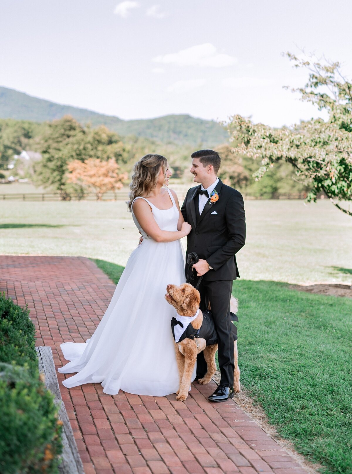 King-Family-Vineyard-Virginia-Wedding-Photographer-Heather-Dodge_0158