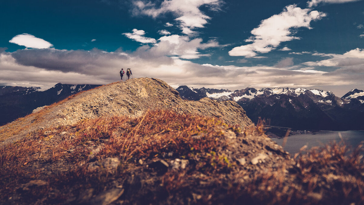 Seward Alaska Wedding (56)