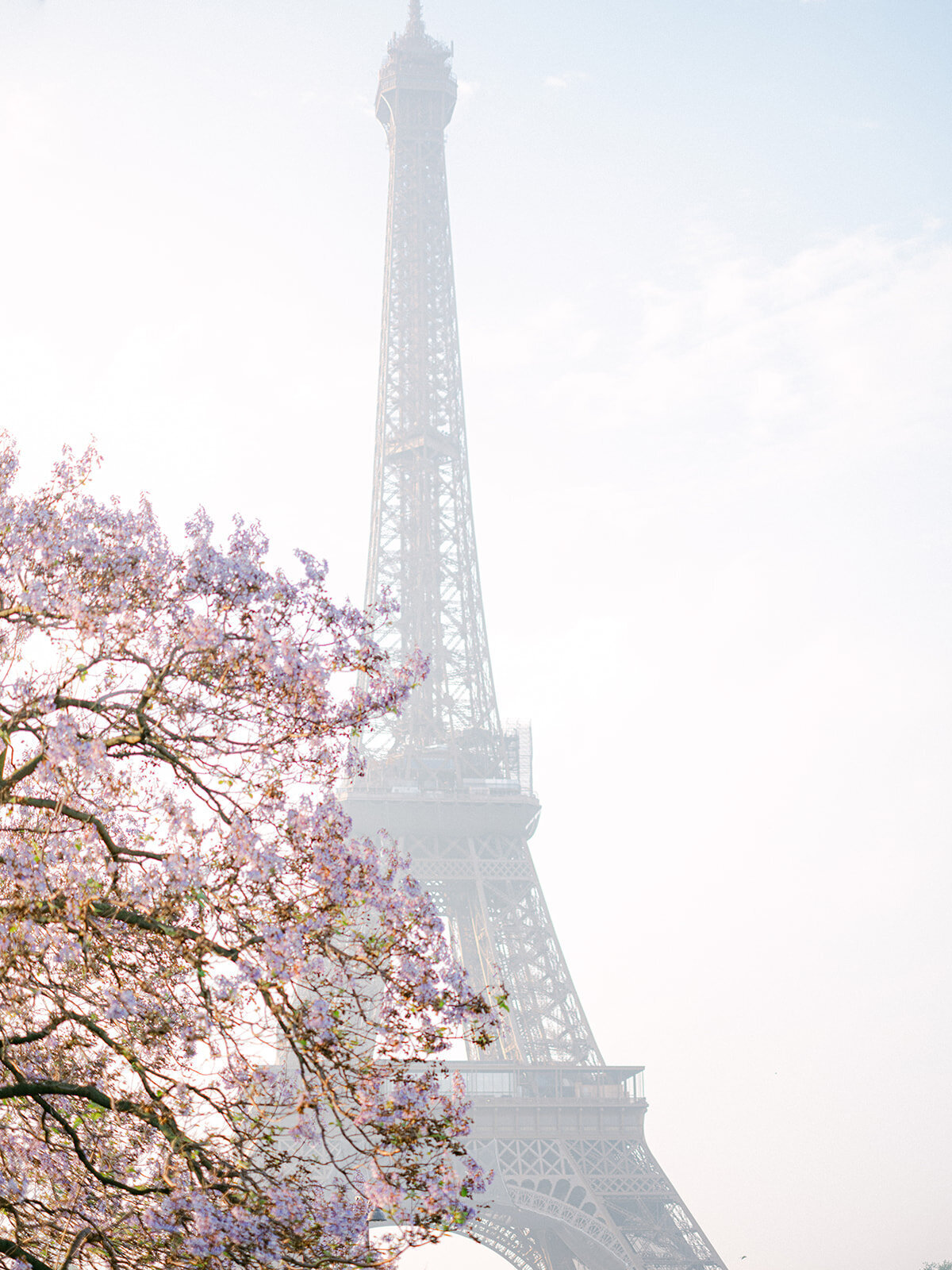 paris-spring-elopementParis2023-92