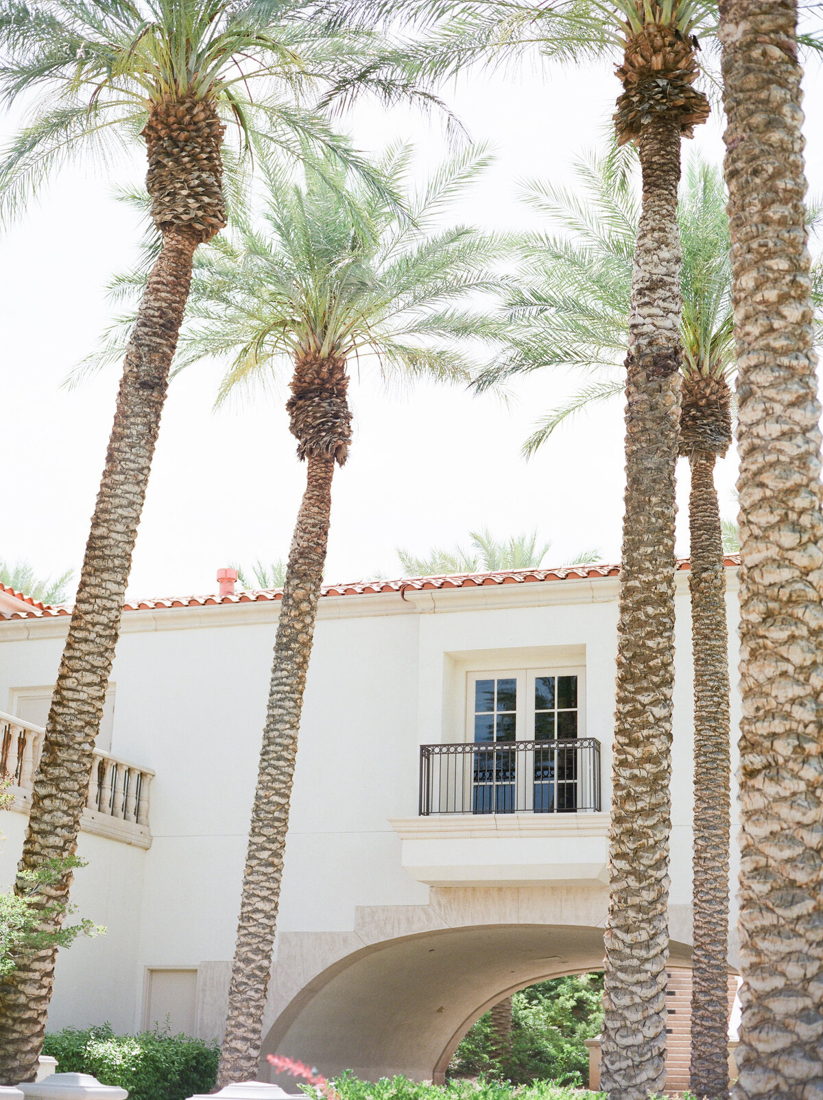 Alexa + Justin Wedding Sneaks (film)-1001