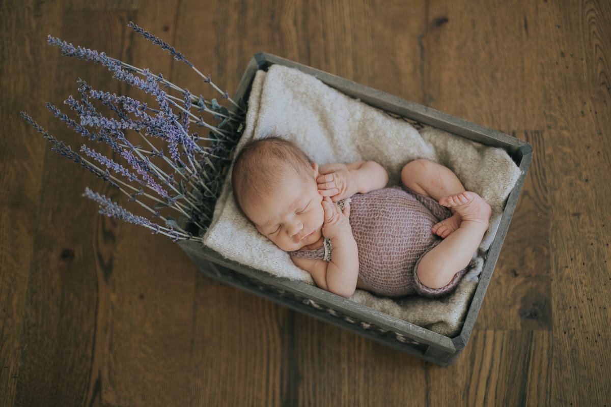 raleigh-newborn-photographers-Ella-0176