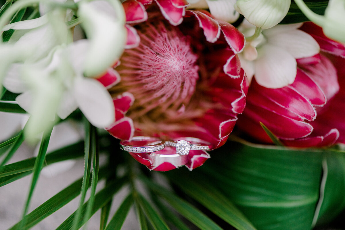 Wedding rings in bridal bouquet with Sugarbush flowers, captured by Julie Jagt Photography, fine art wedding photographer in Vancouver, BC. Featured on the Bronte Bride Vendor Guide.