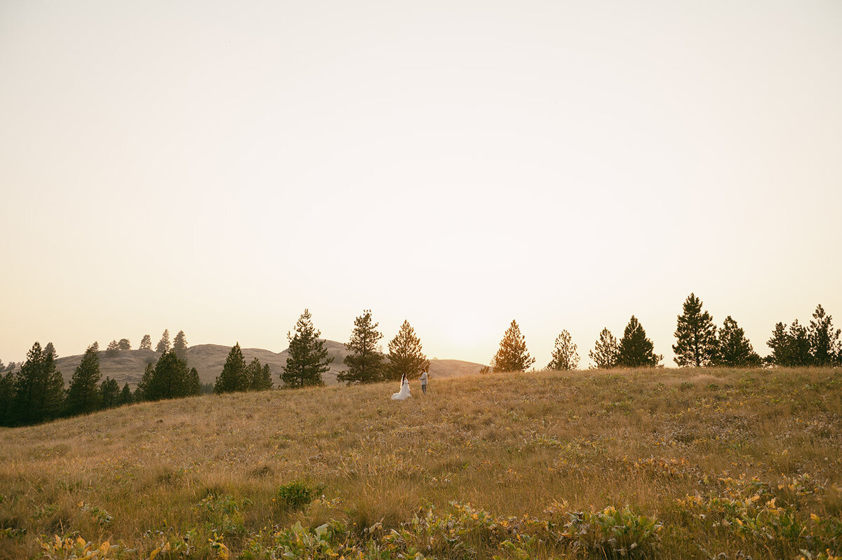 presley-gray-photo-wild-horse-montana-elopement-0384
