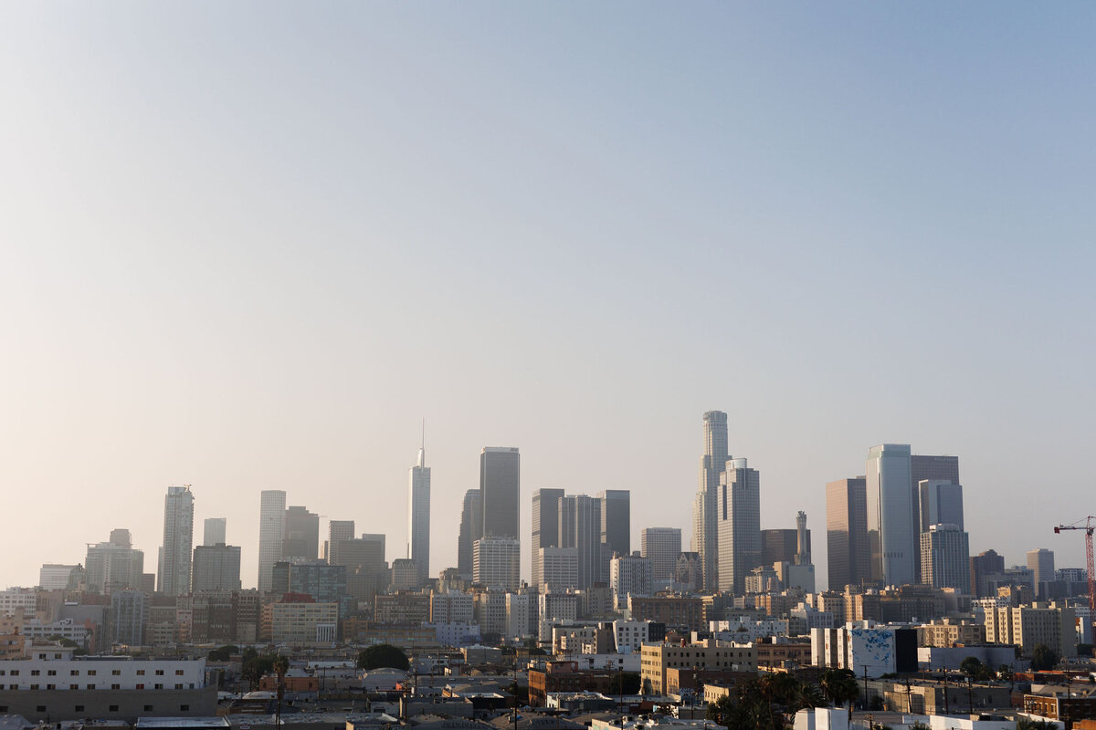 EisnnerSkylightDTLA-023