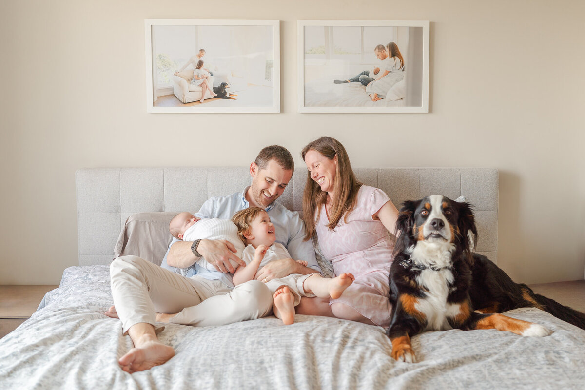 san-francisco-bay-area-newborn-photographer-5