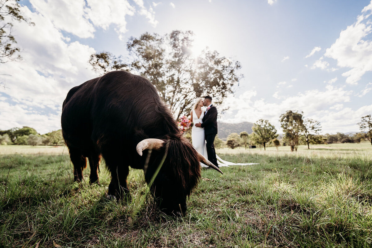 Margan_Photography_Adams_Peak_Hunter_Valley-116