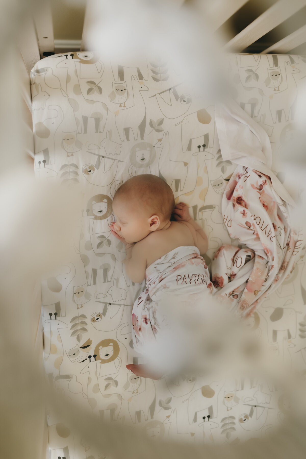 in home newborn session litlefoto photographer keene new hampshire 244