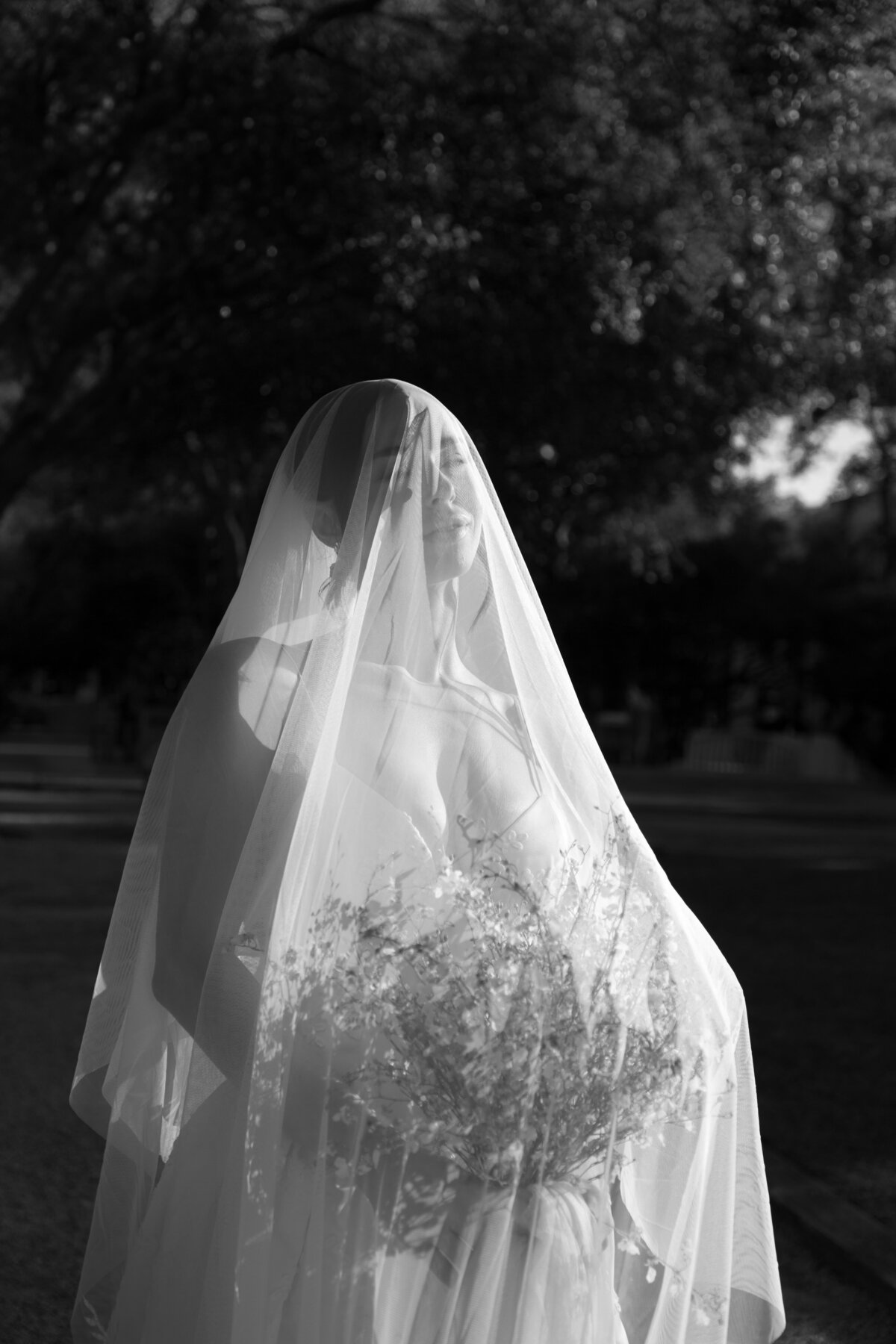 IMG_7534