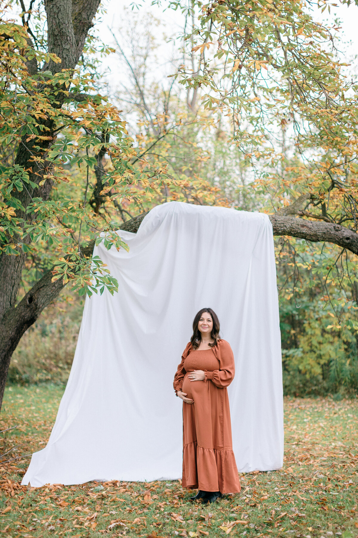 DmgImagery-3720