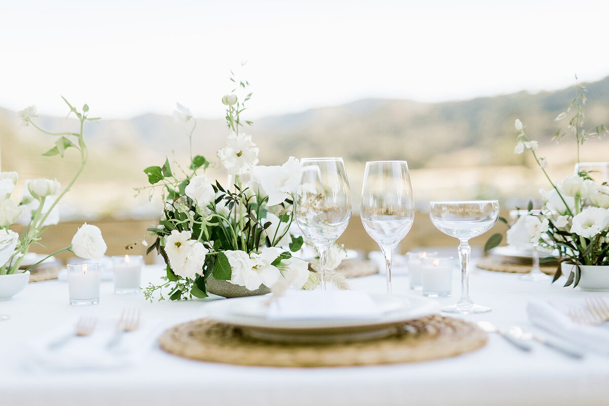 Katie_and_Morgan-HammerskyVineyards_Wedding-Andrew_and_Ada_Photography_2019-1367_websize