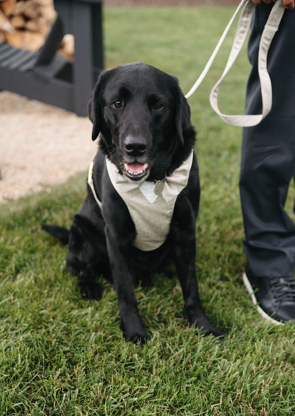 Cocktail&amp_family-35