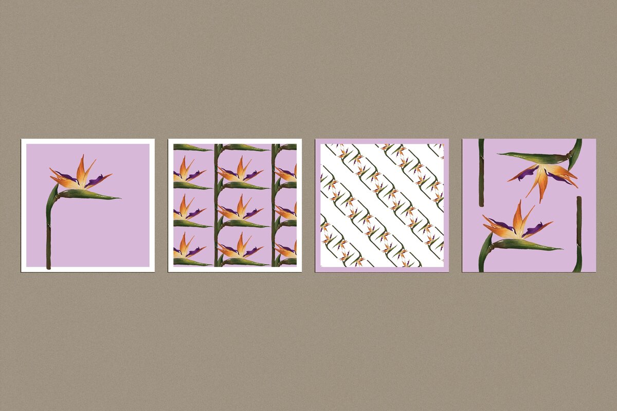 Patterns botanicals